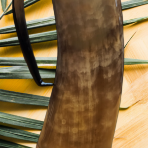 Natural African Horn Mug